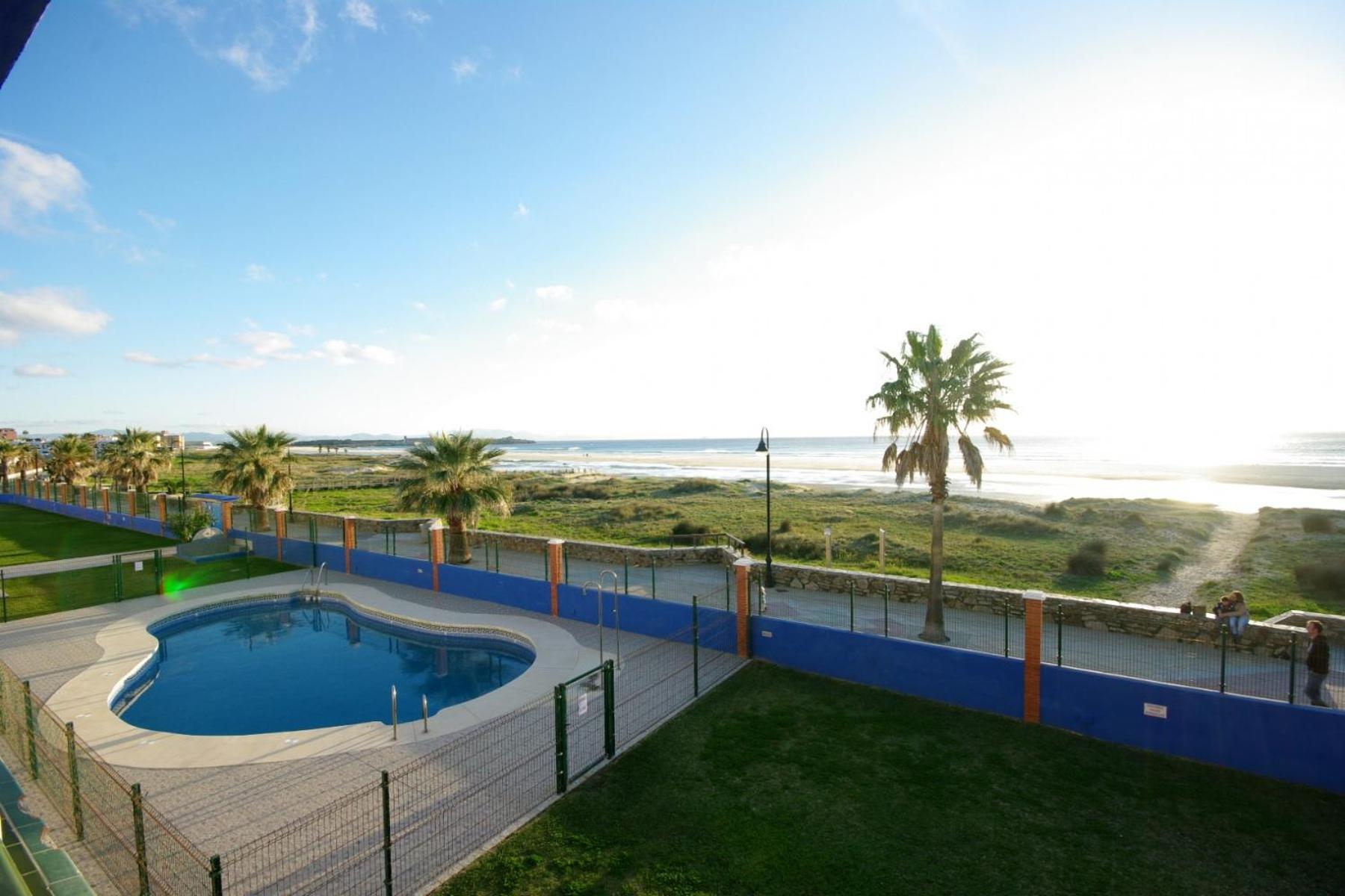 Livingtarifa Agaporni *